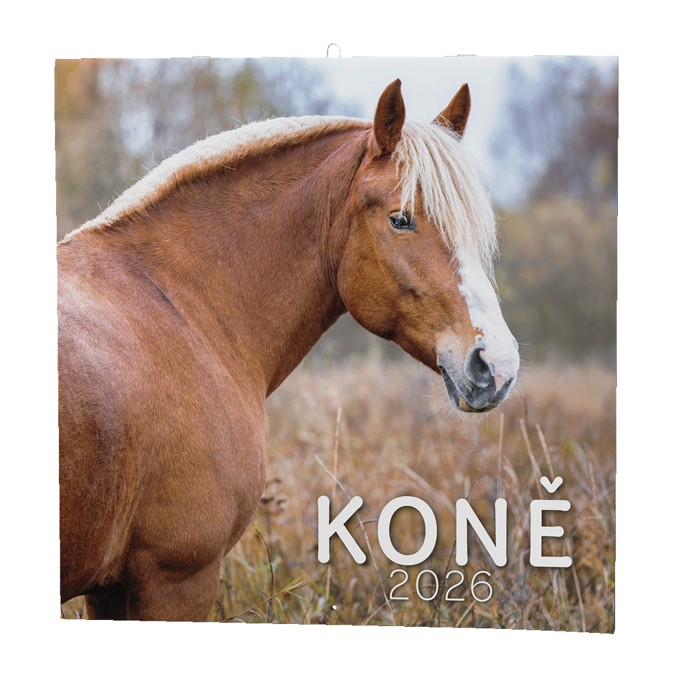 Baloušek Tisk kalendář nástěnný LP Koně