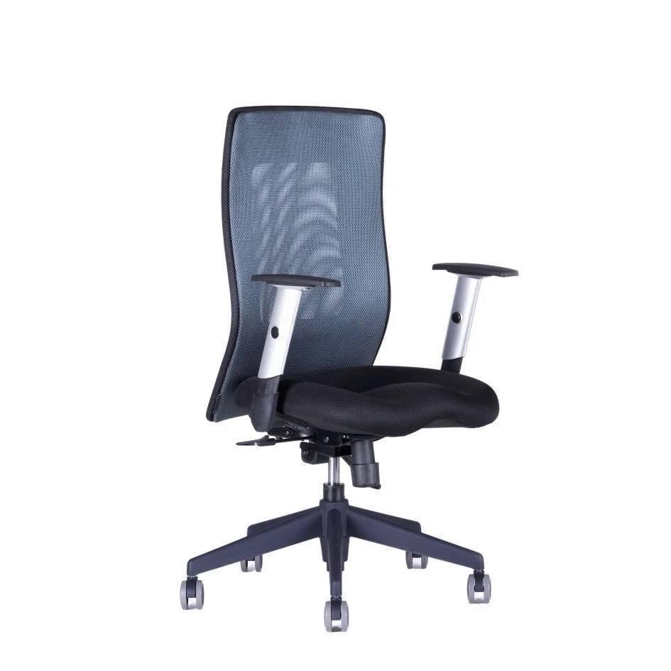 OFFICE PRO s.r.o. kancelářská židle - Calypso Grand BP 1211 antracit
