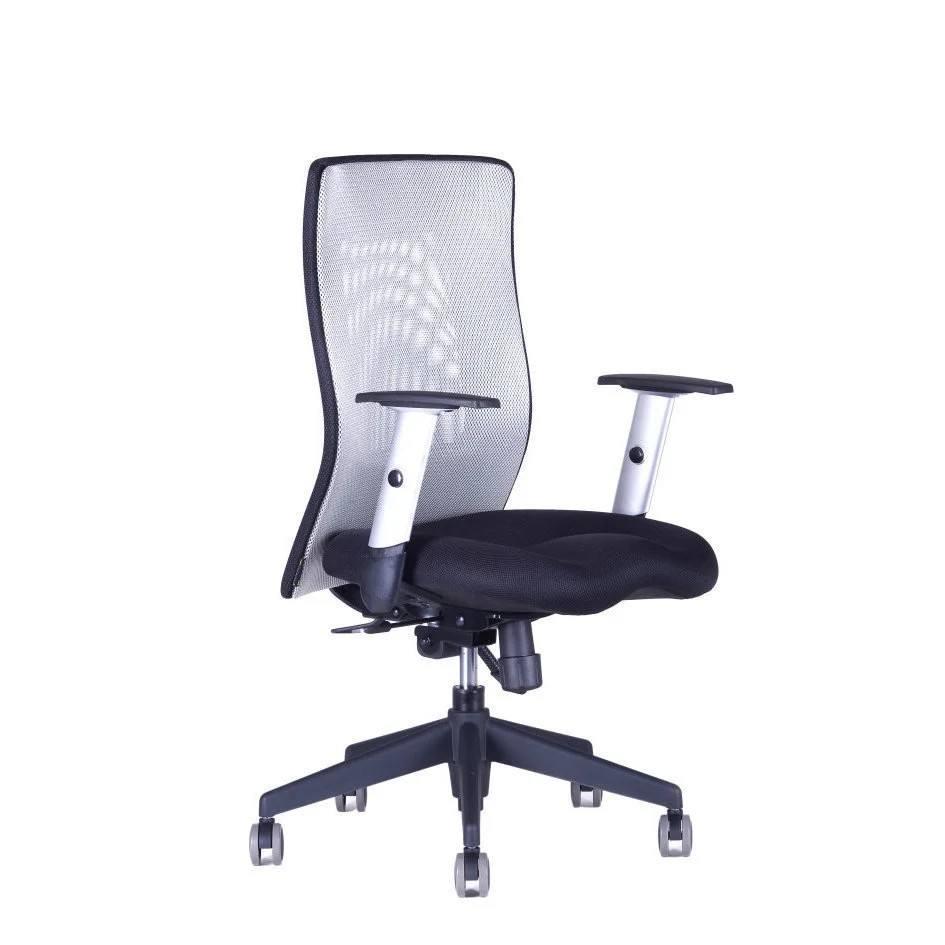 OFFICE PRO s.r.o. kancelářská židle - Calypso XL BP 12A11 šedá