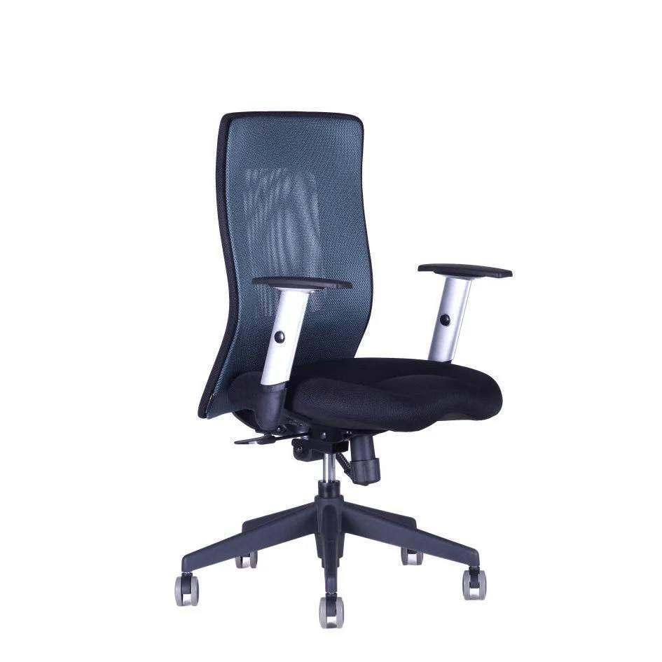 OFFICE PRO s.r.o. kancelářská židle - Calypso XL BP 1211 antracit