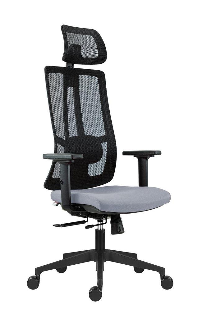 Kancelářská židle Rossa - PDH plast BN05 šedá + BR161